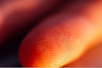 整蛊搞怪正当时！《命运2》英灵日活动饰品介绍